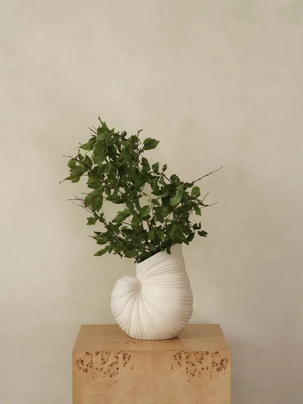 Shell Vase - Nyhet hos oss