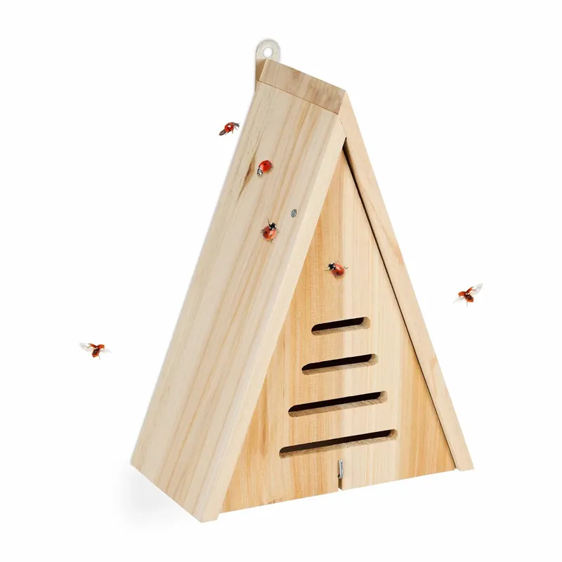 Kampanj - Triangular ladybug house