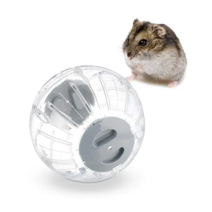 Hamsterboll med grått lock | Mycket efterfrågad
