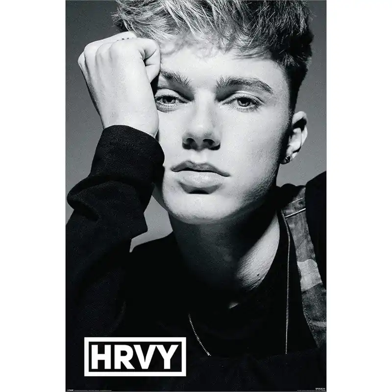 Bra pris - HRVY - Maxi Plakat