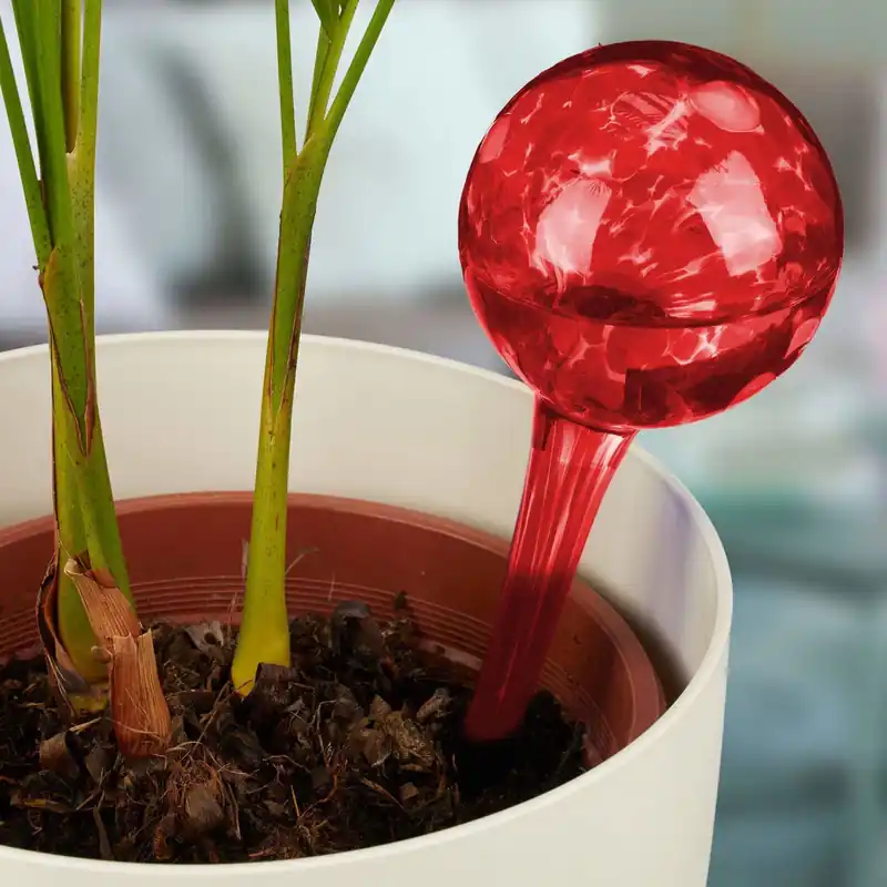 Vattenboll Set med 2 glas | Sista chansen
