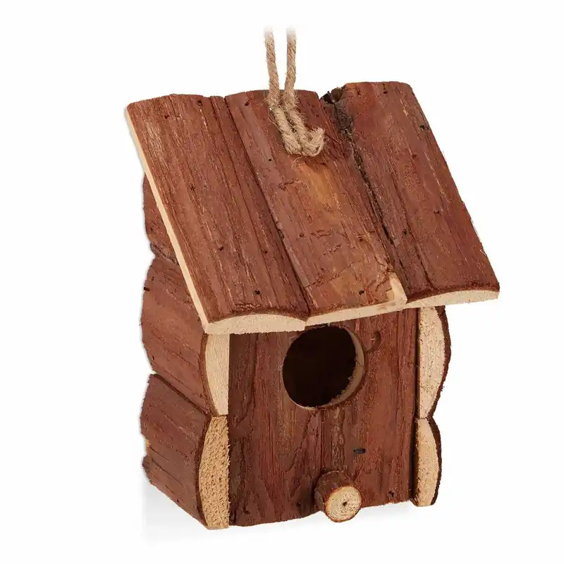 Miniholk træ | Toppkvalitet