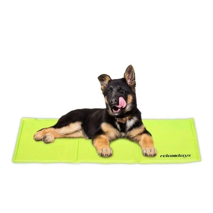 Prisnedsättning | Cooling mat for dogs