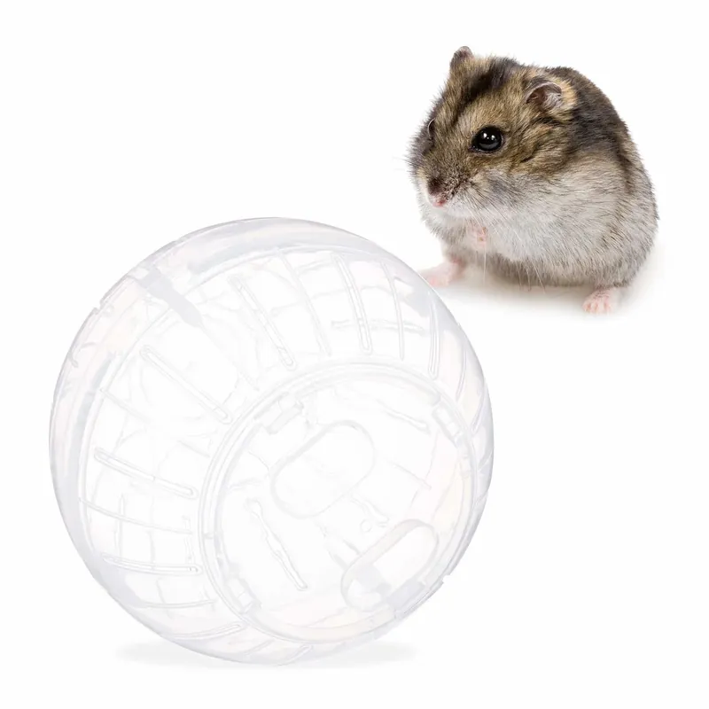 Hamster ball transparent | Specialpris