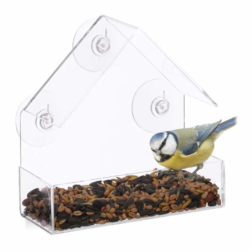 Bird feeder window | Superpris