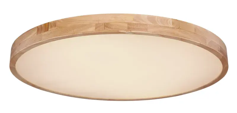 Efterfrågad | Rainer Ø80 plafond